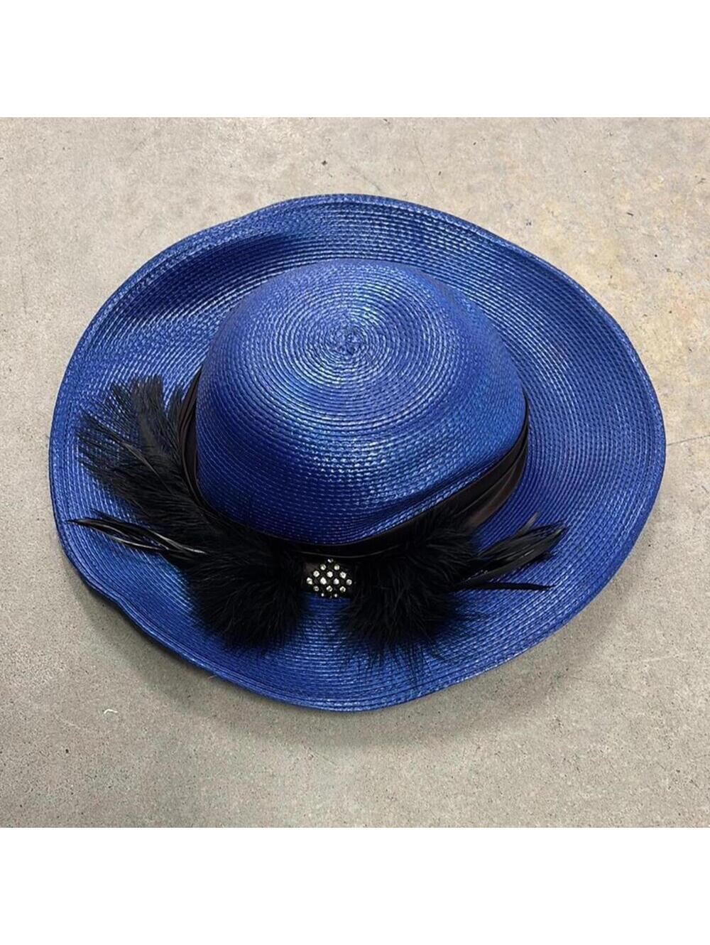 Elegant Blue Hat with Black Feather Accents